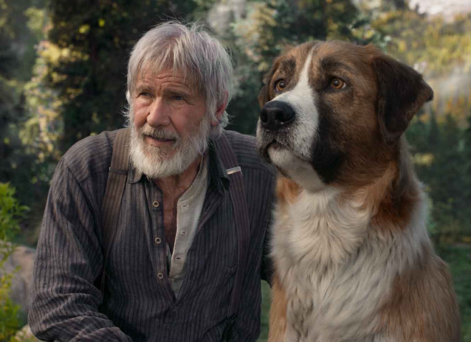 Harrison Ford je prestao jesti meso i mliječne proizvode